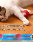 Hot cat toys are automatically teasing cat balls and self-exciting