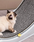 Cat Running Exercise Wheel Treadmill,