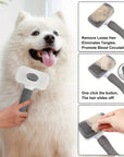 Brush Pet Hair Removal