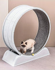 Cat Running Exercise Wheel Treadmill,
