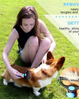 Pet Deshedding Brush Double Sided Pet Grooming Tool