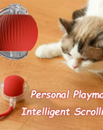 Hot cat toys are automatically teasing cat balls and self-exciting